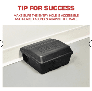 rodent trap placed next to a wall